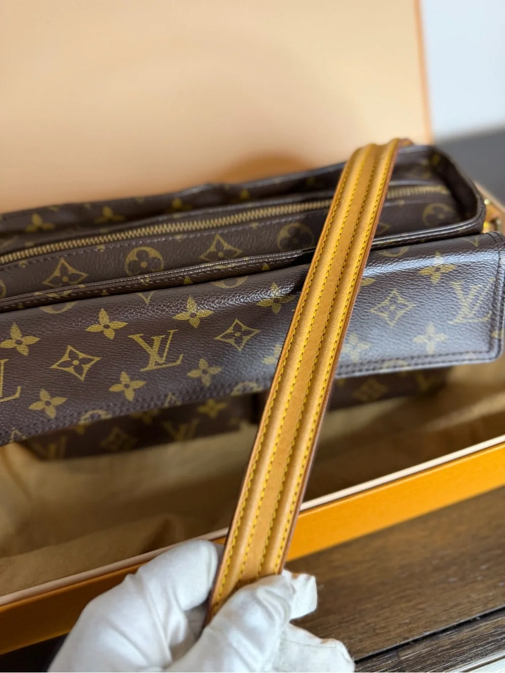 Louis Vuitton Viva Cité in monogram
